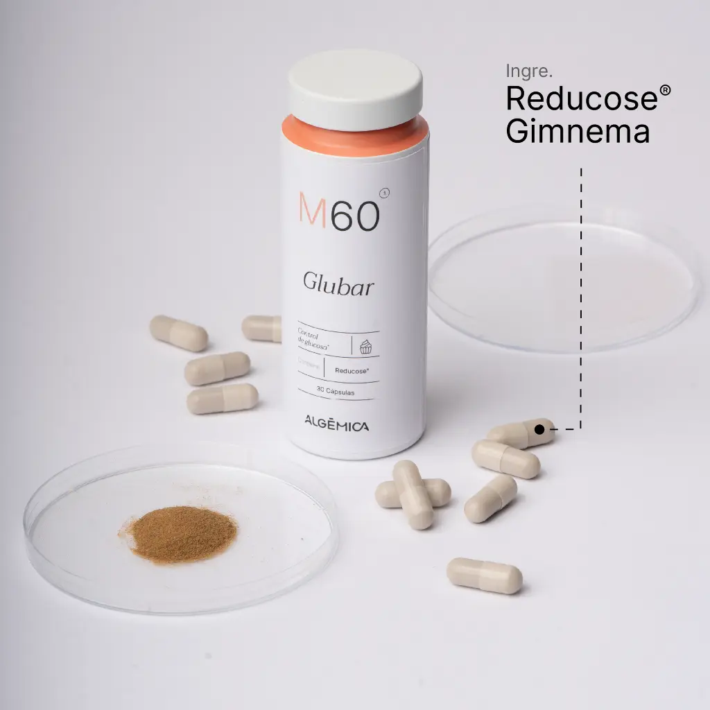 Algemica_Web_M60 Glubar 2.webp